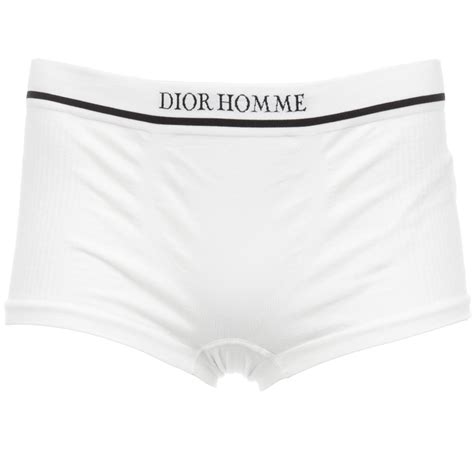 dior mens los angeles|Dior underwear men.